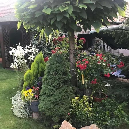 Nirvana * Palić